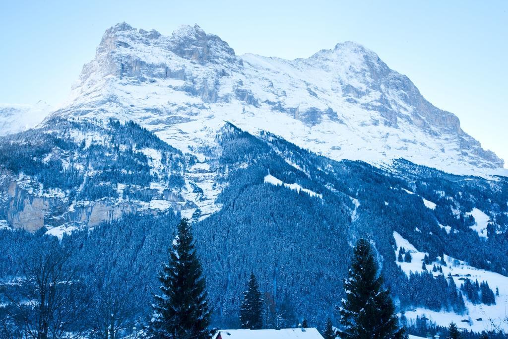 Bernerhof Residence Grindelwald Kültér fotó